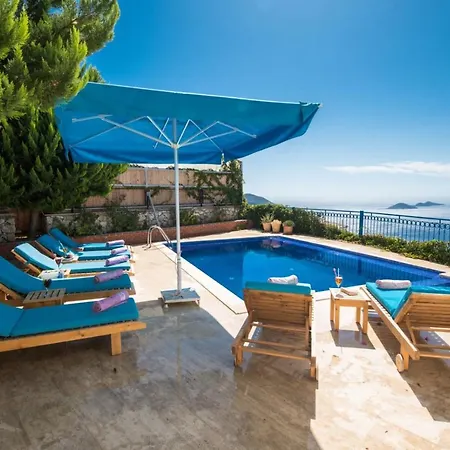 Zakkum * Kalkan
