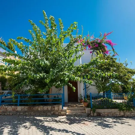 Zakkum Kalkan